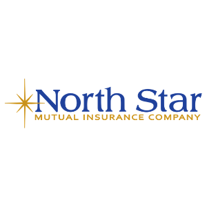 North Star Insurance Company Logo